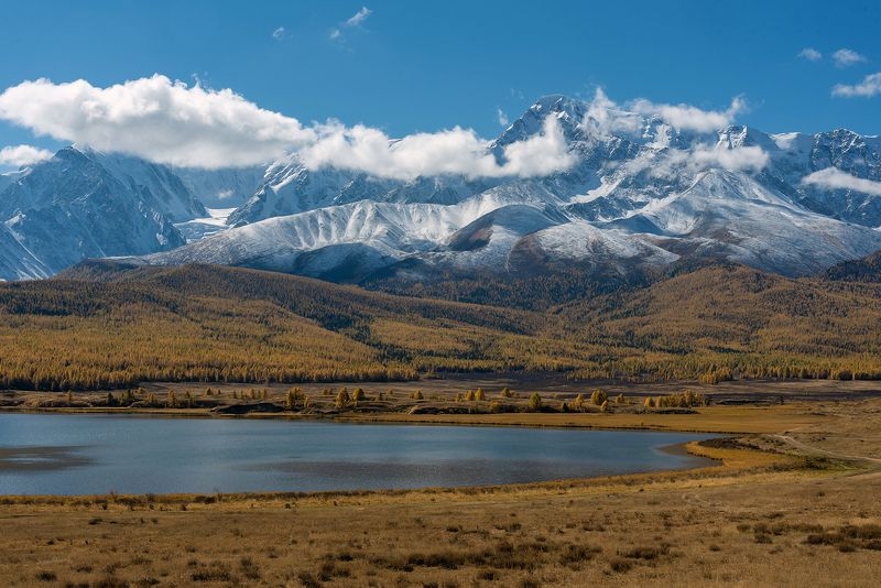 Куркурек вершина