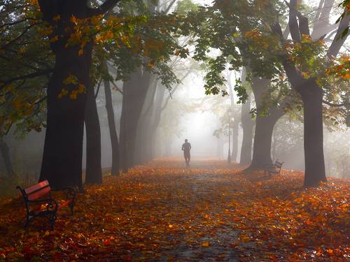 Autumn jogging