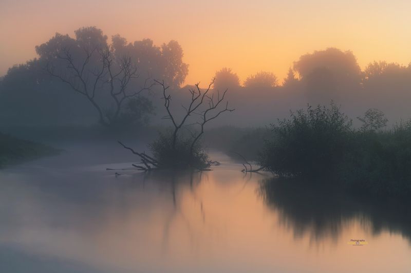 landscape, sunrise, river, fog, Kociewie, Poland, Sunrise on the river.photo preview