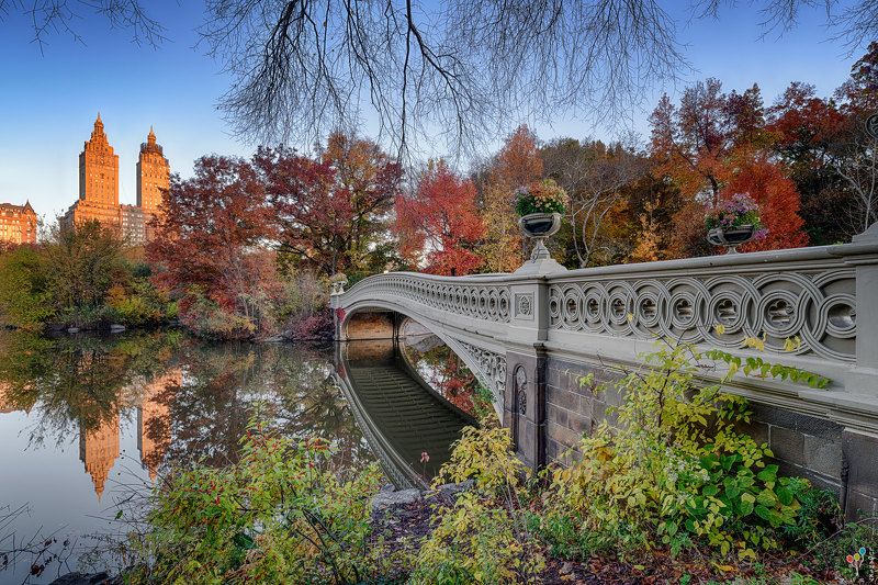 new york, Bow Bridge in Central Parkphoto preview