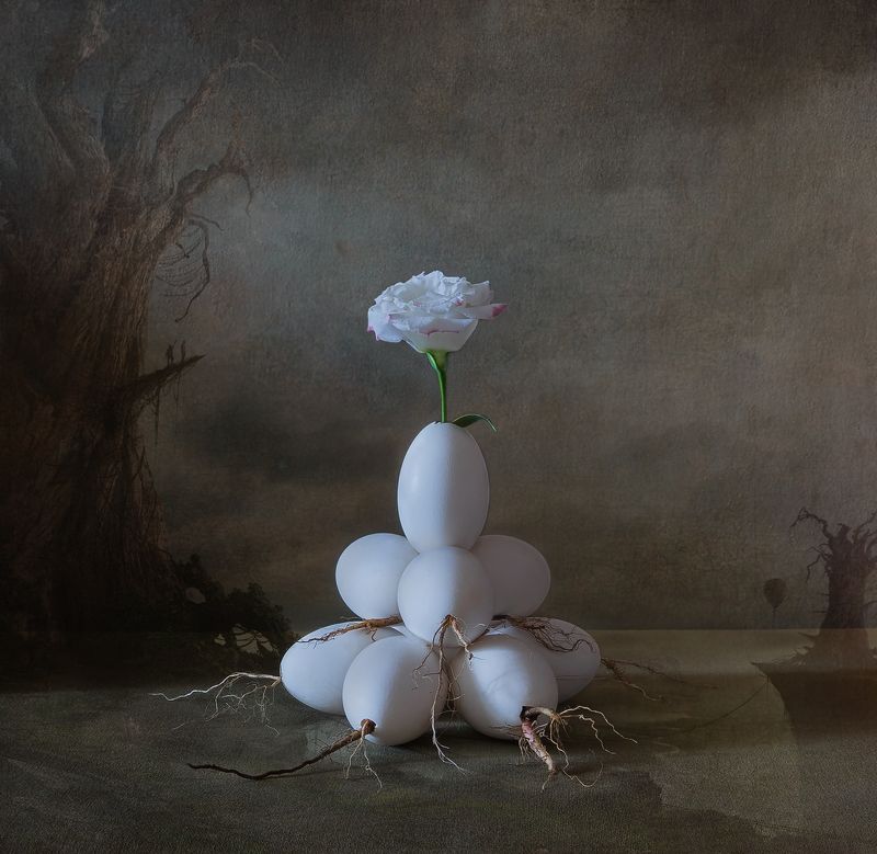 сюрреализм, яйца, корни, цветок. Жизнь , сюрреалистический взгляд.photo preview