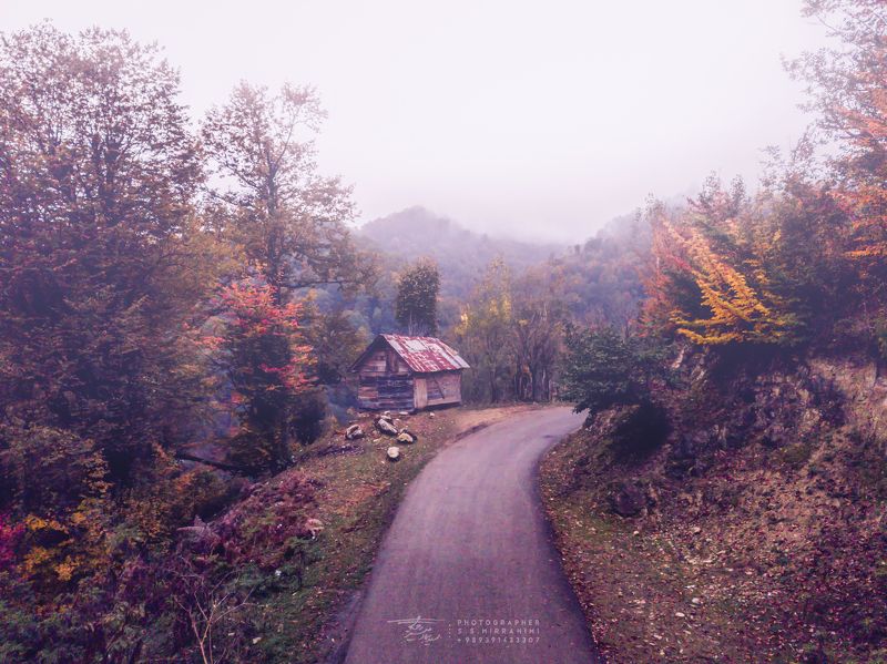 Wooden cottage in the autumn fog 