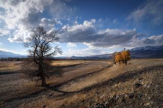 Solitude