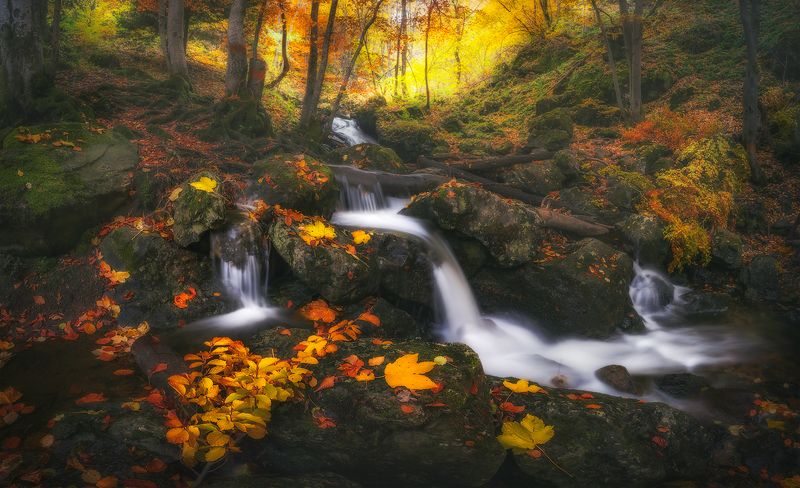 landscape nature scenery forest wood autumn river waterfall colors leaves mountain balkan panorama bulgaria лес Autumn passes byphoto preview