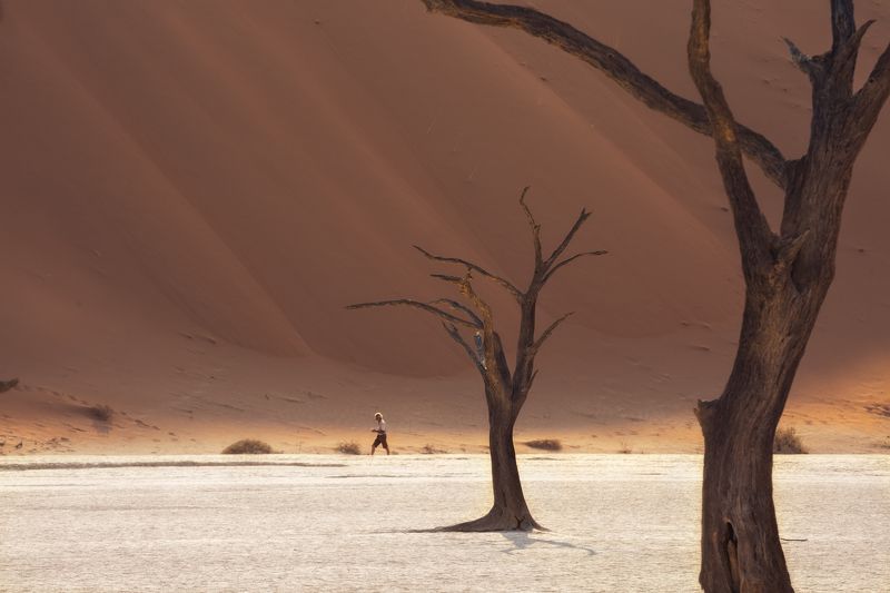 #намибия #африка #мертвые деревья #дюны #песок #акация #deadvlei  #Namibia #dune #tree photo preview