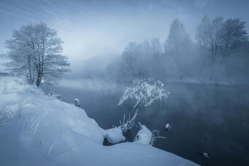 зима, утро, свислочь, туман, иней, мороз Зимой на речкеphoto preview