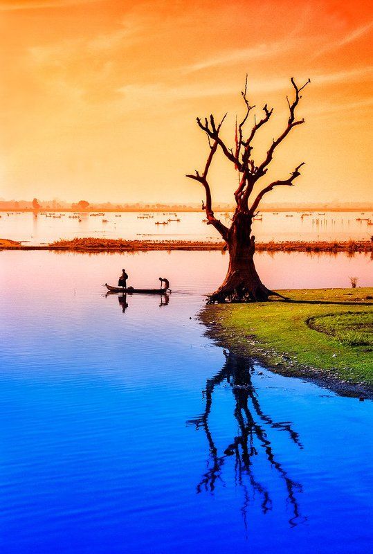 Амарапура, Бирма, Вода, Дерево, Лодка, Мьянма, Озеро, Рыбак Дерево на озере Таунгтхаманphoto preview