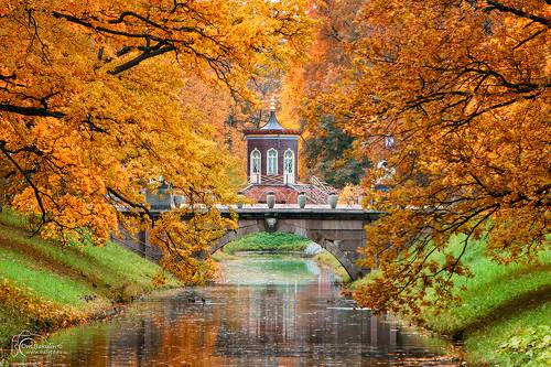 Осень в Александровском парке Царского Села