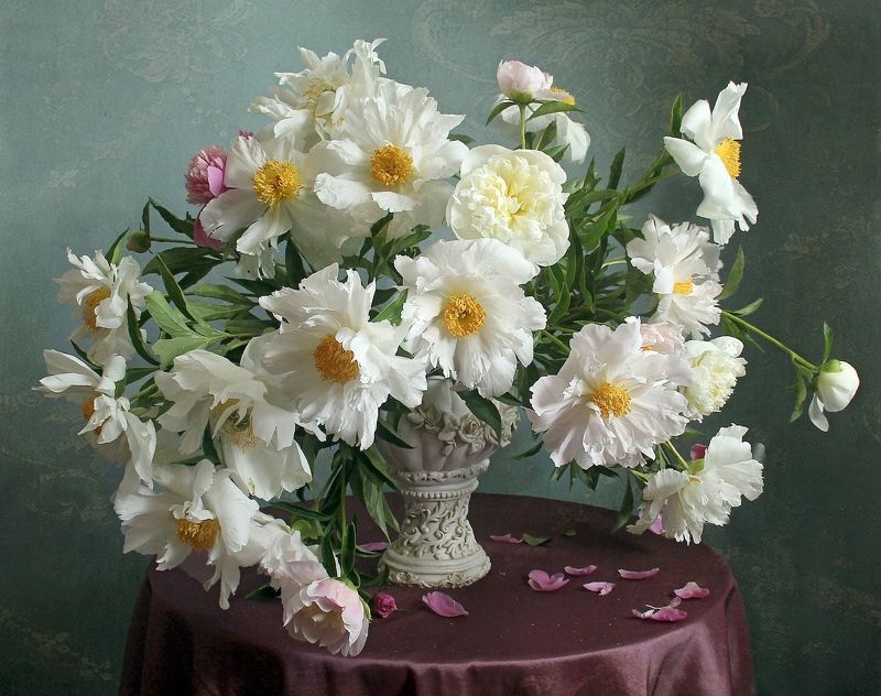 весна, натюрморт, букет цветов, пионы, марина филатова Пионов нежная прохладаphoto preview