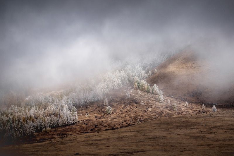 russia, altay, autumn, winter, october, cold, topview, aerial, landscape Про белых ходоков..photo preview