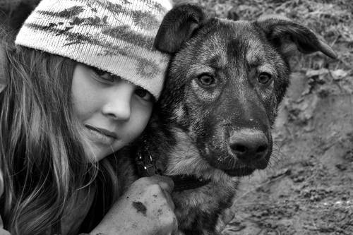 Девочка и собака. 2012