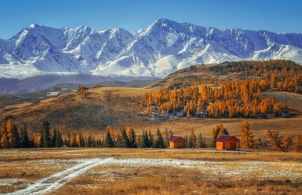 Курайская степь Актру горный Алтай