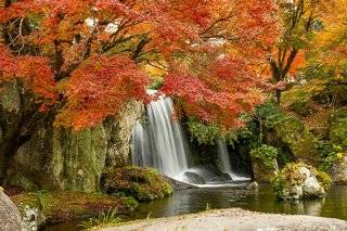 Waterfall