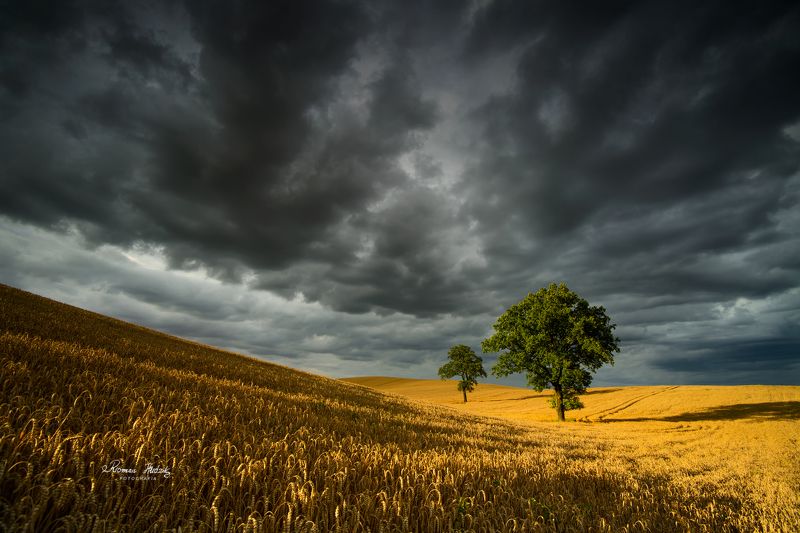 Clouds, landscape, fields, sky, Clouds. photo preview