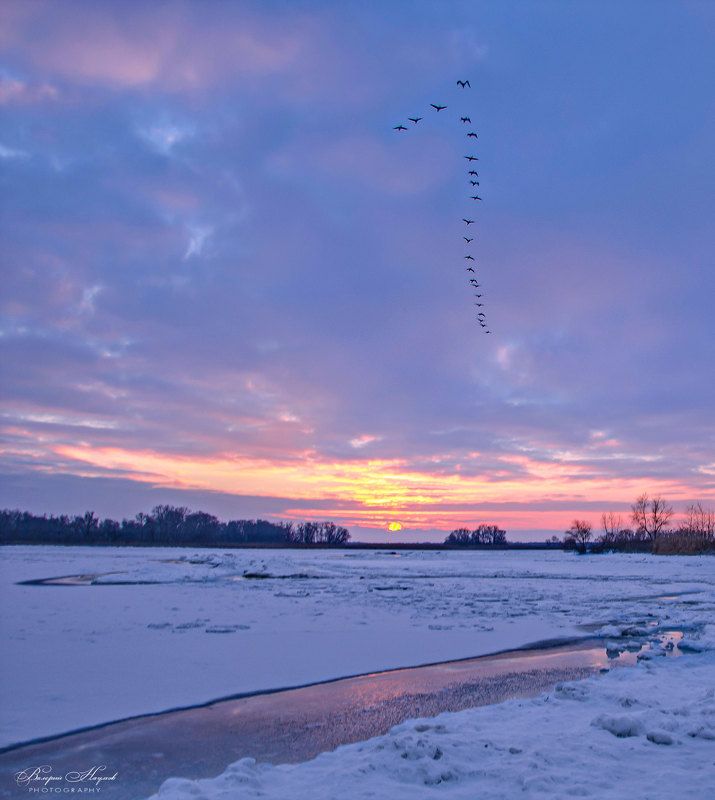 утро, декабрь, восход, солнце, небо, облака, птицы, клин Последний клинphoto preview