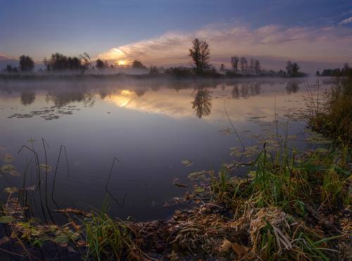 Утро на старом озере