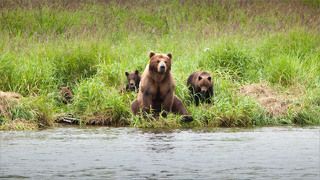 Раз в крещенский вечерок девушки гадали ...
