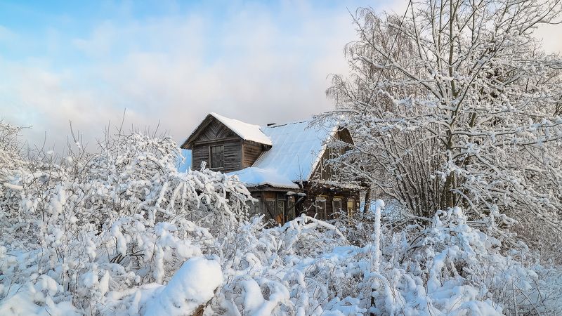 ленобласть, зима, деревня, природа, тишина, россия, снег, мороз Зима пришла.photo preview