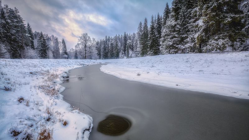 павловск река омут лед зима снег ели Ледяной омутphoto preview