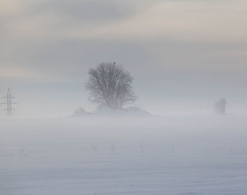 туман,зима, снег, север Зимовкаphoto preview