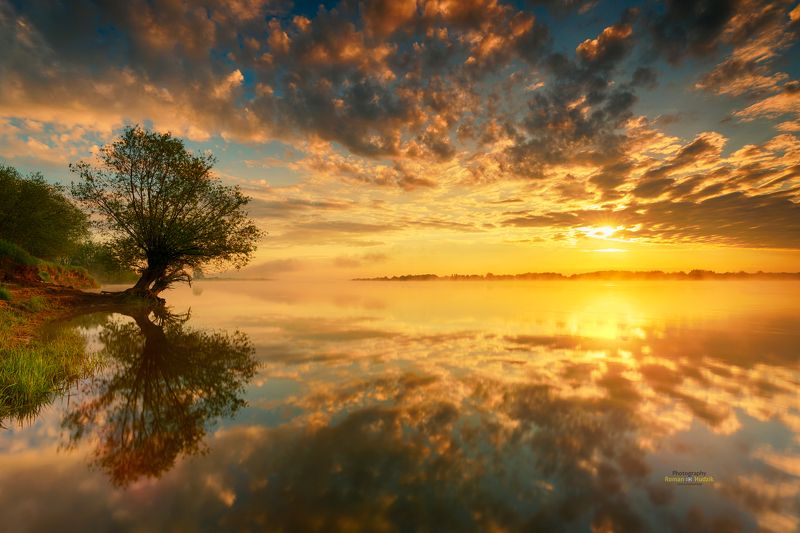 Mirror, landscape, tree water, river, sky, colorful world, reflections, sunrise, Mirror. photo preview