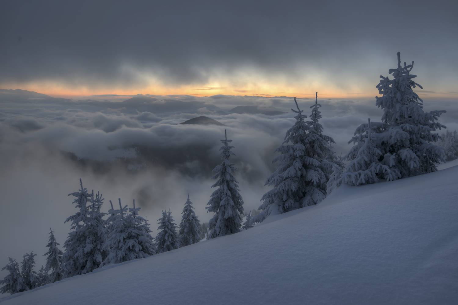 35photo Awards зима