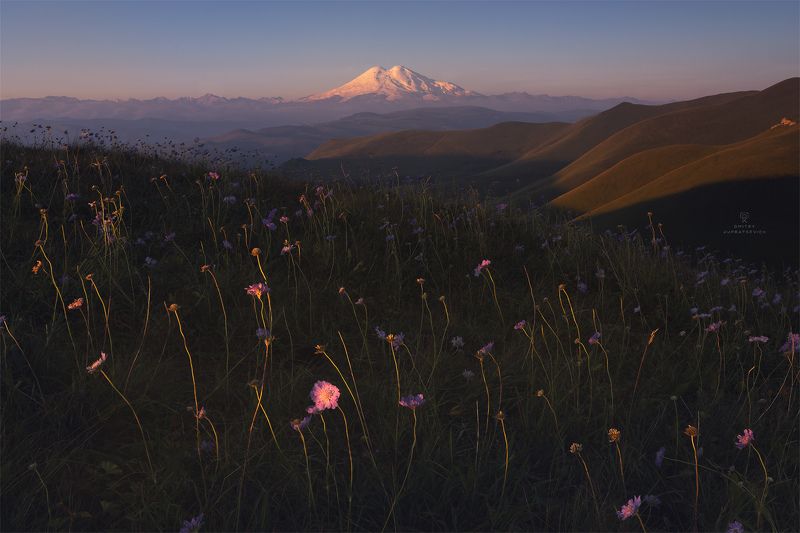 Цветочное утро в горахphoto preview