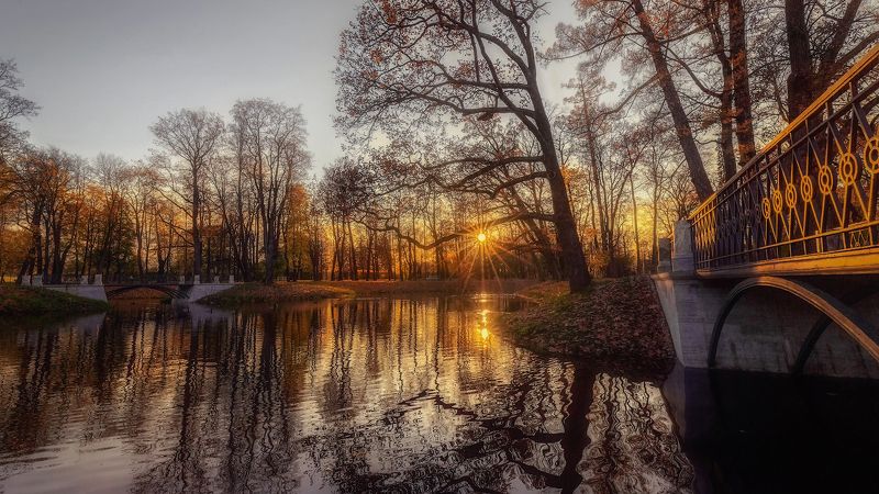 осень закат пушкин пруд солнце мост Осенний закатphoto preview