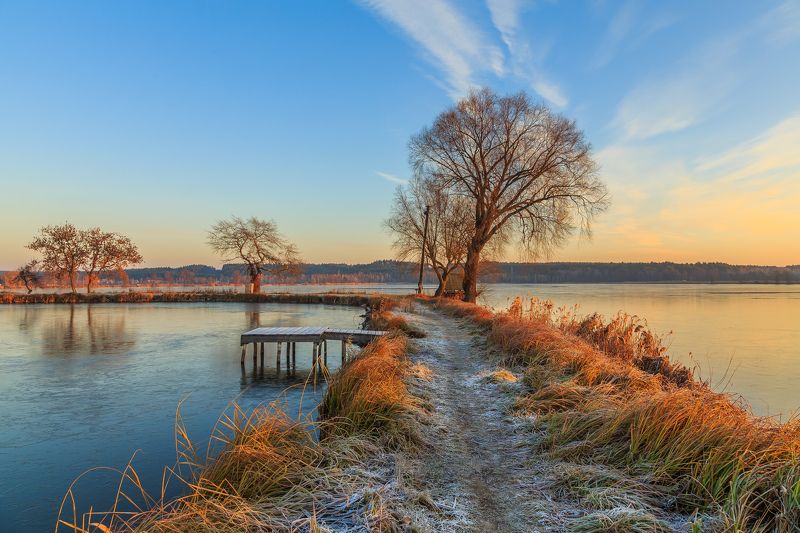 утро, мороз, озеро, дерево, вода, Чудесное утроphoto preview