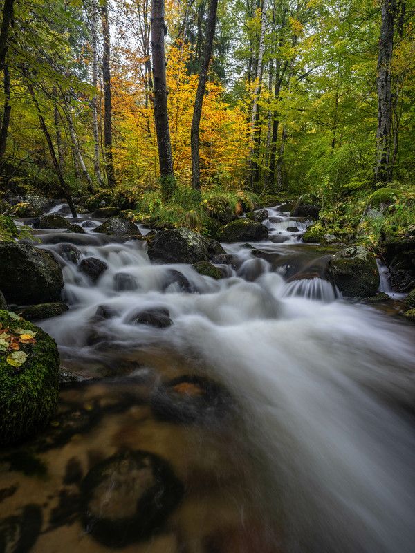 river,landscapes,nature,vertical,autumn Vladaia riverphoto preview