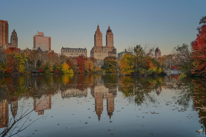 Fall in Central Park at The Lake