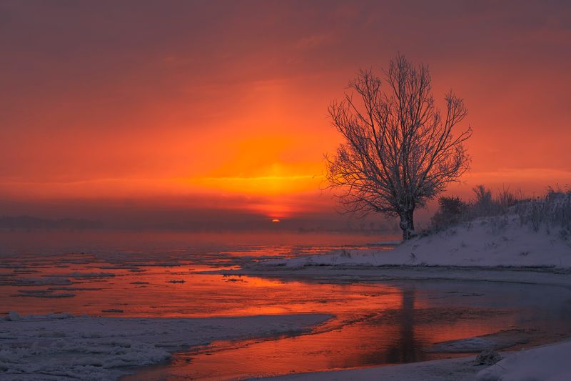winter, landscape, sun, sunrise, river, Poland, Kociewie, water, snow, frost, The charms of winter.photo preview