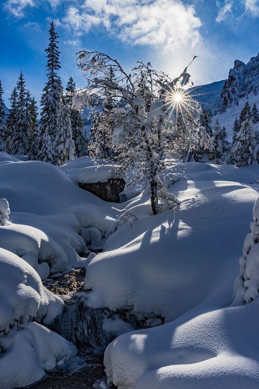 landscapes,nature,sun,snow,vertical Winterphoto preview