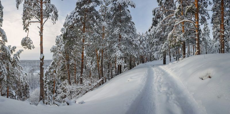природа утро зима снег деревья На краю лесной дорогиphoto preview