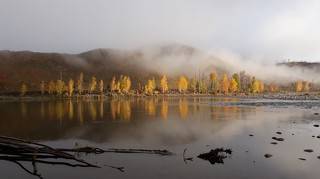 Осень на берегу Катуни