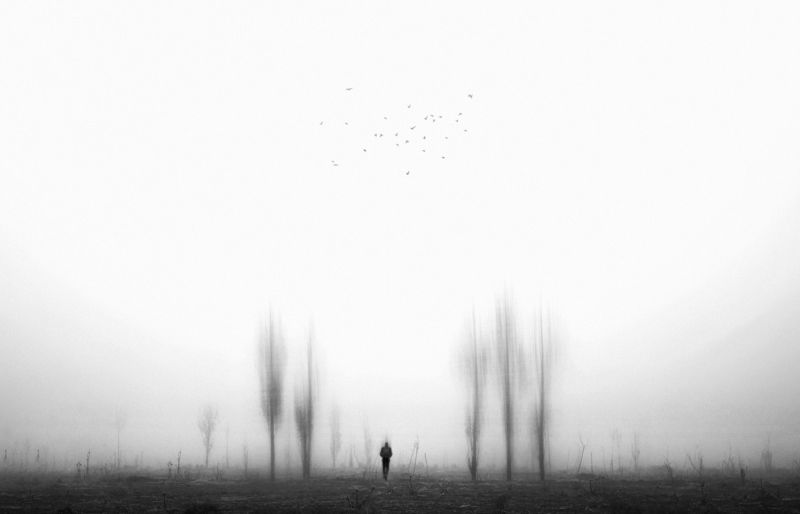 Alone IN The Fog