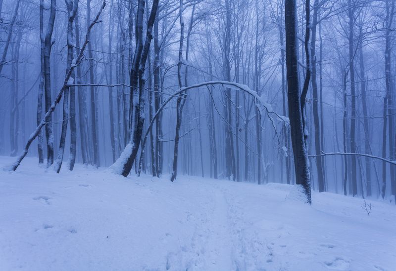 Bieszczady