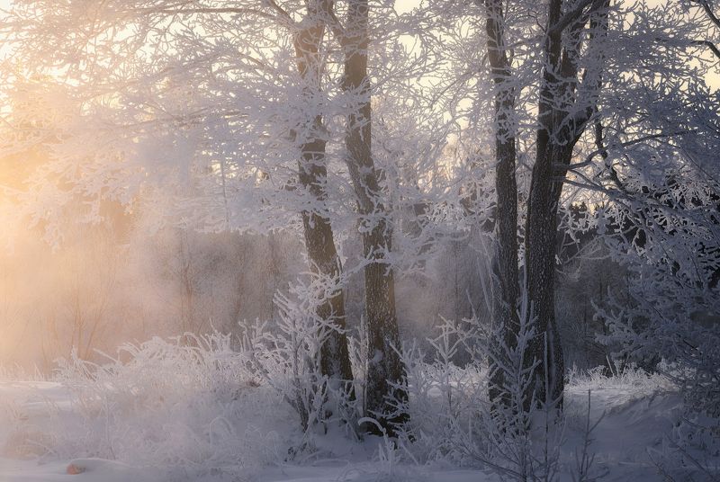 зима, рассвет, река, утро, пехорка Зимние нарядыphoto preview