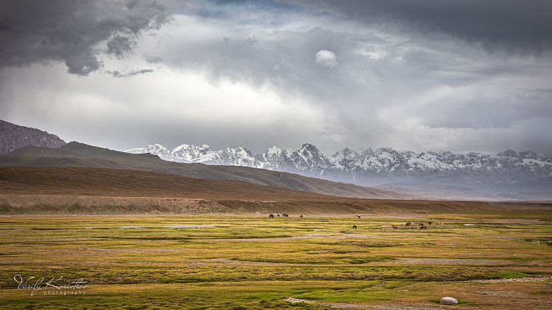 кыргызстан, горы тянь-шань, хребет какшаал-тоо, долина реки мюдюрюм, июль 2020 директор... как Мүдүрүмphoto preview