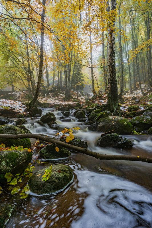 landscapes,river,vertical,nature,autumn Boyana river photo preview