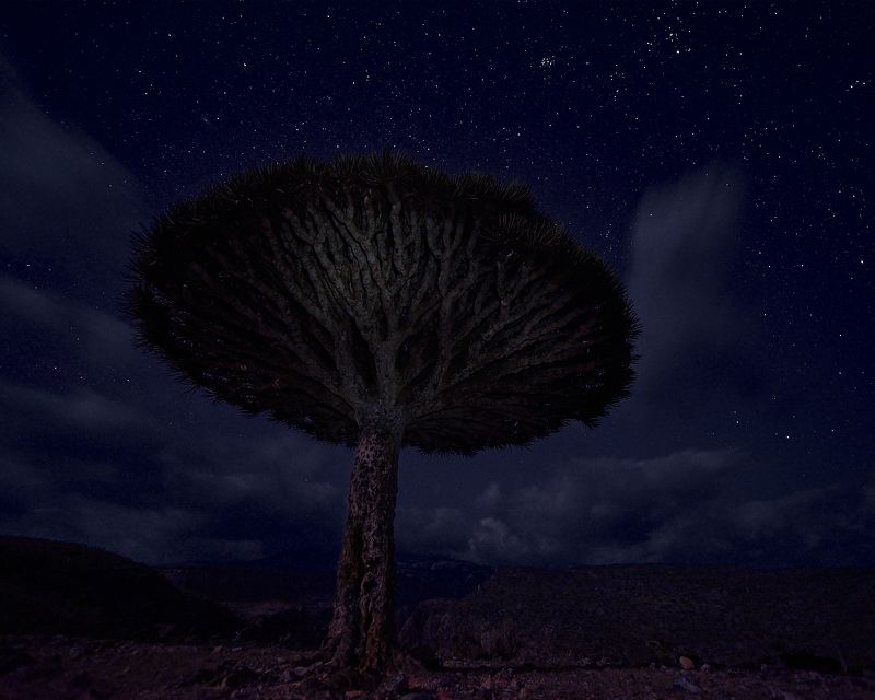 Socotra: connected to Space