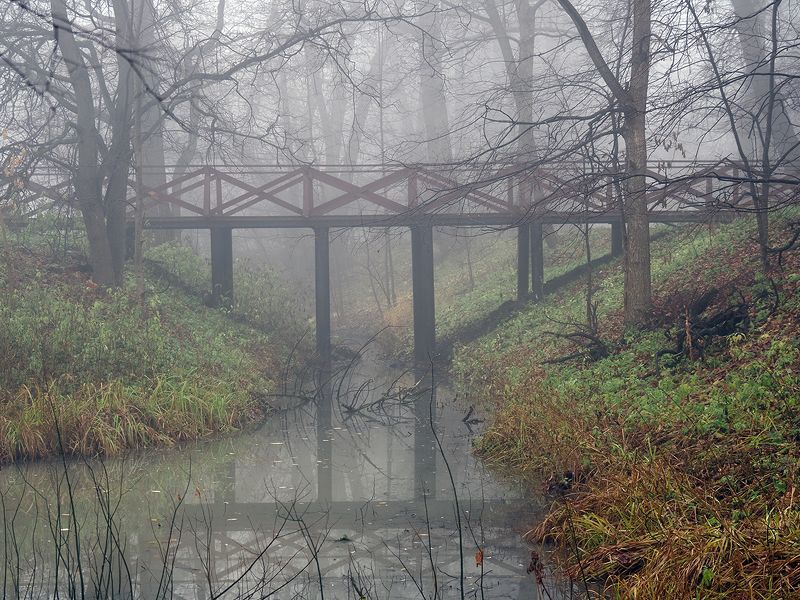 мостик в тумане