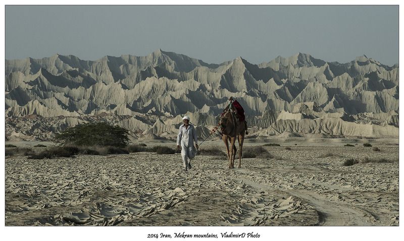 Верблюды, Иран, Мекран Но мы идем вслепую в странных местах, И все, что есть у нас - это радость и страх...photo preview