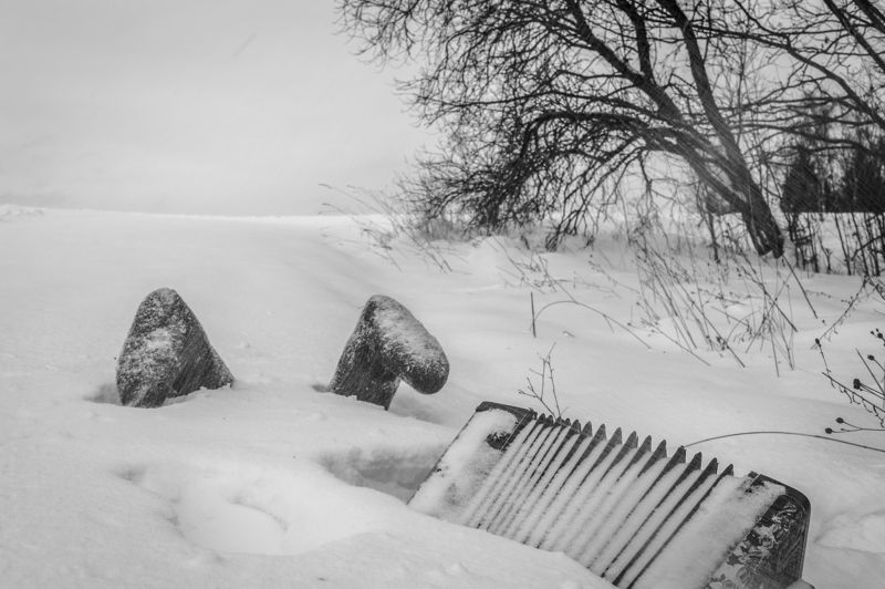 Пейзаж, чёрно-белая фотография Шёл в деревню гармонистphoto preview