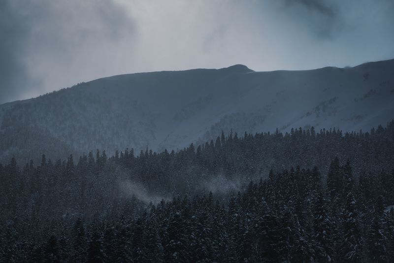 arkhyz landscape snow landscape frozen frost nature mountains forest pine twilight Cold twilight.photo preview