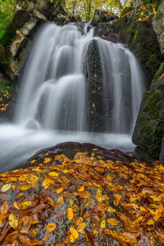 landscapes,waterfall,nature,autumn,vertical Zaimovo waterfallphoto preview