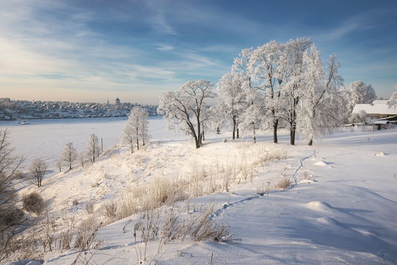 зима иней солнце деревья берег волги волга синее небо Зимний солнечный денёк на Волгеphoto preview