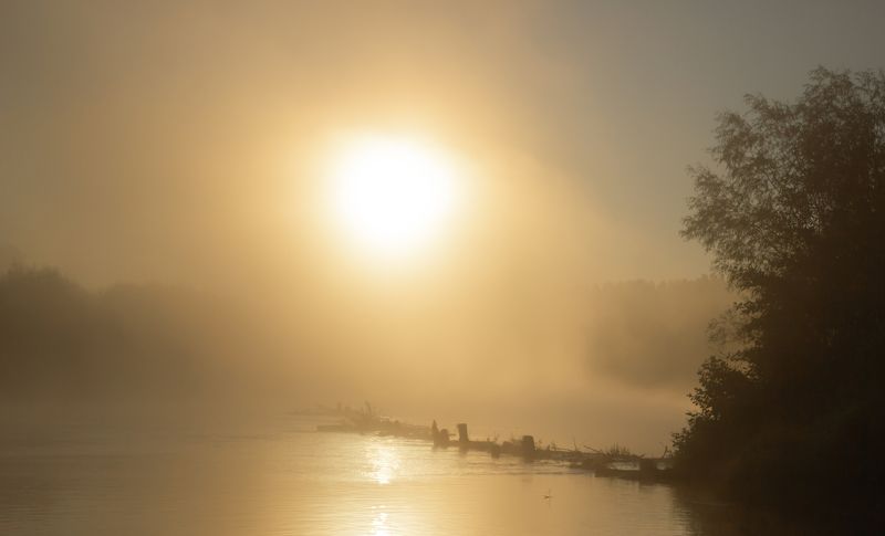 туман, река Туман на Нееphoto preview