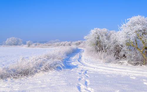 Landscape with a dirt road on a frosty winter day