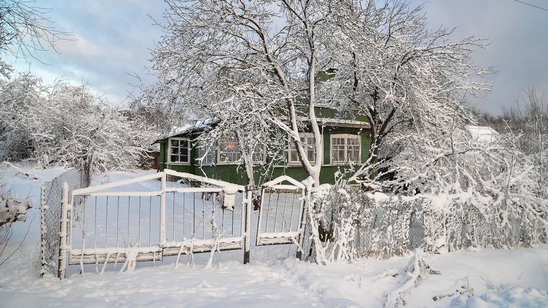 ленобласть, зима, деревня, природа, тишина, россия, снег, мороз, утро Утро в деревне.photo preview